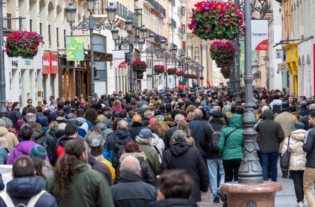 WhatsApp Image 2026-01-17 at 12.45.48 (1)